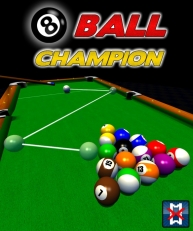 8 Ball Champion